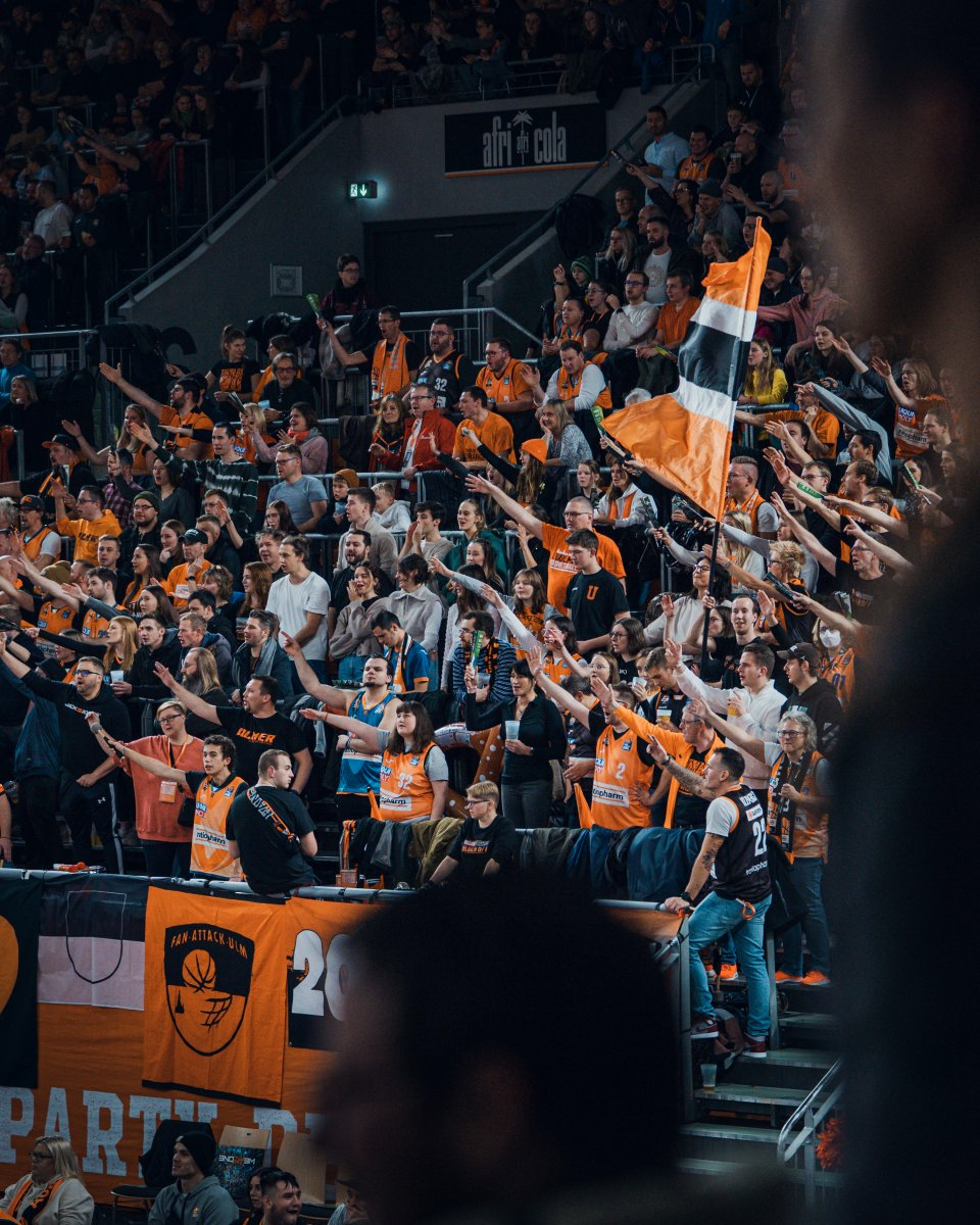  Foto: Steiner